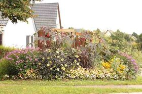 Massif fleuri rue HÃ¼neberg (2014)