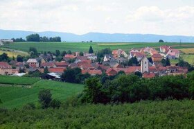 les alentours de Kienheim