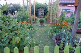 Le jardin mÃ©diÃ©val (crÃ©ation de 2012)