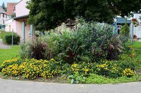 Massif fleuri Place Pflimlin (2014)