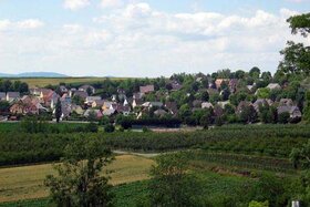 Champs en bordure du village