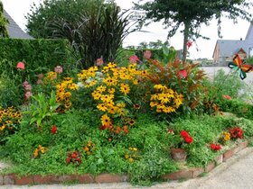 Rue des Violettes (2009)